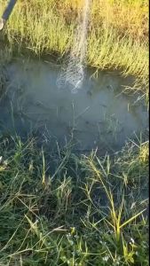 Pancing Jaring Kapten 2 Meter Dan Pelampung