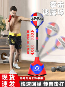TAEBEAT | Stress Relief Stand-Up Speed Ball Training Equipment