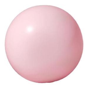ZhenYa | Pilates Training Anti-Burst Fitness Ball 25cm