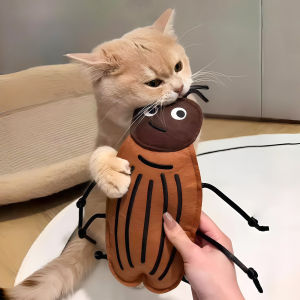 Interactive Teasing Catnip Mat Dental Care Kitten Toy
