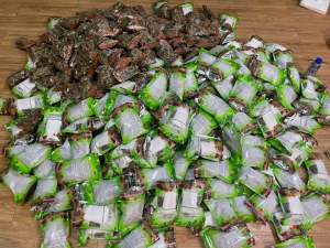 50ห่อ สมุนไพรไทยเฮิร์บ ไทยเฮิร์บ สมุนไพรแท้