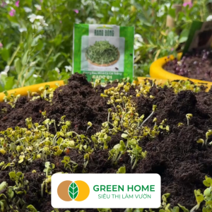 Hạt Giống Mầm Củ Cải Trắng Greenhome Gói 30g Dễ Trồng Quanh Năm Nảy Mầm Cao Thu Hoạch Nhanh Năng Suất Cao R10