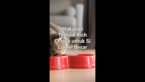 RICH CHOICE Makanan Kucing Kering Cat Food 1.5kg/2kg