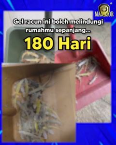 MANGZOR Lizard Killer Gecko Gel Bait (10g) Racun Cicak Killer Safe Low Toxicity Insecticide Umpan Gel Cicak灭壁虎胶饵