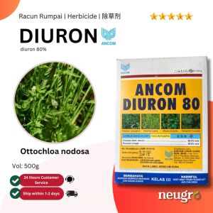 Ancom DIURON 80 500g Racun Rumpai Rumput Sambau Sawit/ Nanas/ Getah / Tebu Herbicide Weed Killer Rubber / Palm Oil / Pineapple 除草剂 / 杂草 用于油棕 / 黄梨 / 橡胶