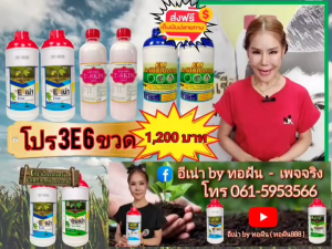 โปร 3e แก้ดิน ปรับดิน บำรุงใบ แก้เชื้อรา by ทอฝัน