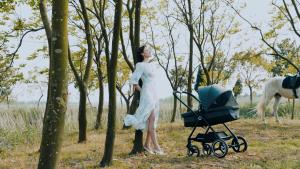 gb GB828 Safe Infant Stroller: A Comprehensive Guide