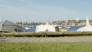 Red Dingo No-Pull Dog Classic Harness | Easily Adjustable | No Pulling on Walks - 3 Colors & 7 Sizes