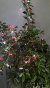 Lampu Hias Kamar Tidur - Lampu Tumblr Gantung TikTok Kelap Kelip - Warna 5-8 Meter FREE Sambungan Kabel + LAMPU KOTAK LED / Lampu Hias Kamar Tidur