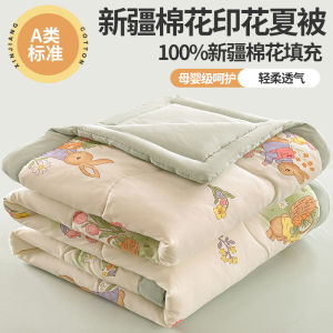 Pure Cotton Double Layer Air Conditioner Summer Quilt Washable Cotton Filling Comforter Light Weight Breathable Bedding