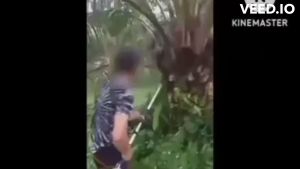 หัวเกียร์แทงปาล์ม เครื่องตัดปาล์มน้ำมัน ความยาวรวมคนเก็บเกี่ยวได้ความยาว 4.80 เมตร เปลี่ยนหัวได้ 3 แบบ สินค้ามีอนุสิทธิบัตรห้ามละเมิด