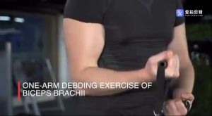 COD 13 in 1 Set Tali Stretching Resistance Band 150LB Pilates Yoga Fitness Gym Power Resistance Bands Premium Resistance Bands