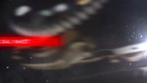 Dầu Nhớt Xe Số Xe Côn Tay MOTUL 3100 GOLD 4T 10W40 0.8L 1L Chính Hãng Motul Bốc Mượt Bảo Vệ Động Cơ