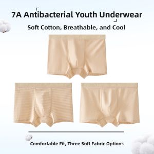 Miiow | Childrens Underwear Boys Cotton Silk Boxer Briefs Antibacterial Developmental Stage A Class Four Corner Pants Flat Angle