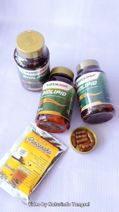 HERBAL KOLESTEROL TINGGI DAN DARAH TINGGI JAMU KOLESTEROL JAHAT TRIGLESERIDA BIOLIPID NATURINDO