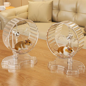 Bánh Xe Tập Thể Dục Tương Tác Im Lặng