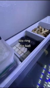 Bio Ring Pori Atau Bioring Standar Ceramic 500 Gram Untuk Media Filter Aquarium Rumah Bakteri Baik