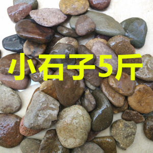 Natural Stone Landscape Reptile Box Ecological Habitat for Lizards Snakes Turtles Scorpions Worms And Fish Pet Supplies