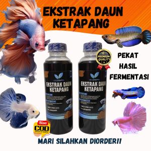 Ekstrak Daun Ketapang Laut 250ml Pekat Alami Hasil Fermentasi Premium