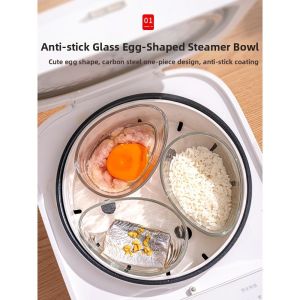 Jiaxun | Home Use Rice Steamer Plate