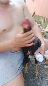 preventions and treatment/halaksiponlagnatpagtataesalmonellacholerapagtatae for gamefowl