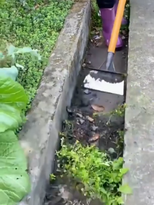 มีดถางหญ้า กำจัดวัชพืช แบบเฉียงองศาเข้ากับระดับพื้นพอดี เหนียว หนา คม ตัดหญ้าได้ทุกชนิดไม่หักง่าย