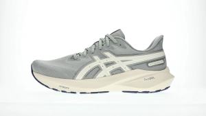ASICS Men GT-2000 13 ATC Runnng Shoes in Seal Grey/Birch