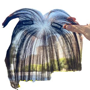 Light Natural Female Hairline Wig Piece Seamless Realistic Forehead Bangs Hair Extension Volumizing Gray Covering Hairpiece