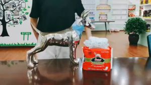 แพมเพิสสุนัขตัวผู้ Dono Male รุ่น Gold โอบิใส่ง่าย ซึมซับมาก แห้งเร็ว นุ่มสบาย ปรับขนาดง่าย