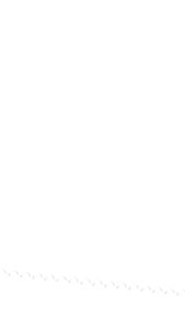 MAMABEAR Kookie Bites 150gr / Mama Bear Cookies / Kukis Sehat Pelancar ASI Less Sugar / BANDUNG