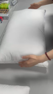 Buy 1 Take 1 Hotel Pillows 2pcs – Double Gusset Down-Proof Cover 20x30in 18x26in with .98D Siliconized Microfiber Fill Double Piping | Soft & Supportive for Luxury Accommodations