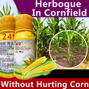 【Authentic】racun rumput mati akar racun rumput paling kuat murah 除草剂 racun rumput sambau racun rumput paraquat roundup racun rumput racun pokok paling kuat weed killer racun pokok kayu besar racun paraquat racun rumput cepat mati