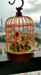 Mainan Burung dalam Sangkar Beautifull Bird Suara Merdu Love Birds Electronic