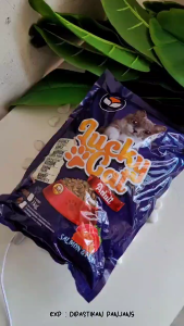 Lucky cat adult 1kg makanan kering kucing