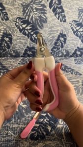 Free File Nail Cutter Pet nail cutter Stainless Steel dogs cats Nail Clippers silicon handle dog cat