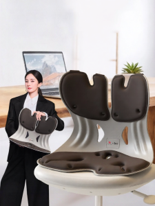 Ergonomic Back Support Office Chair Lumbar Support