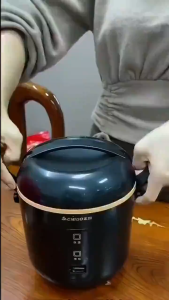 1.2L Mini Rice Cooker Multifunctional Portable Non-Stick Pot for 1-2 People One-Touch Easy Operation Compact Electric Cooker