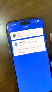 TAPPY Customize TNG Charm Keychain - Totoro