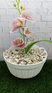 Bunga Anggrek Hias Gantung | Pot Gantung DIY Handmade | Dekorasi Cantik Estetik | 18x35cm | Stok Terbatas