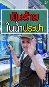RQ ลดคลอรีน RQ Contract Chlorine (ขนาด 250 cc)  BY วสันต์อุปกรณ์ปลาสวยงาม