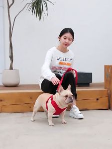 【现货】宠物可调节反光双锁麂皮绒牵引绳【Ready Stock】Pet Adjustable Reflective Double Lock Suede Harness Leash