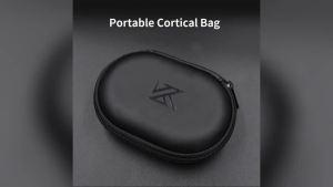 1-6PCS KZ Earphones Oval Storage Bag Wired Headphones PU Zipper Storage Box Portable Hold Case Container for KZ BA10 AS10 ES4