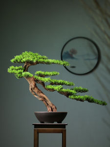 Artificial Greeting Pine Bonsai Hotel Office Console Tables Podocarpus Macrophyllus Decoration Living Room TV Cabinet Home Decoration