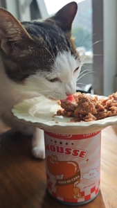 Cat Wet Food Nutritious Cat Mousse 375g Premium Pet Snacks Chicken BreastBeefTuna SalmonHigh-Quality Protein Cat Food Cans For Adult Cats And Kittens 7 Days of Care Pet Supplies