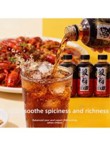 Refreshing Plum Juice Drink 24 Bottles 360ml