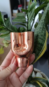 Y CHIA ĐỒNG TỪ PHI 12- PHI 42