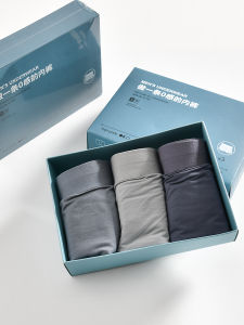 Three-Pack 5A Grade Antibacterial Modal Ice Silk Mens Thin Comfortable Breathable Solid Color Boxer Briefs Underwear