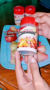 bumbu buah jamkris bumbu rujak garam jambu kristal curah per 500 gram