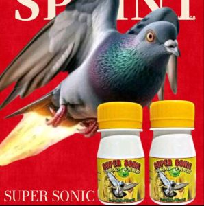 Jamu Merpati Balap Sprint SUPER SONIC BF ISI 100 PIL Suplement pil edan alus