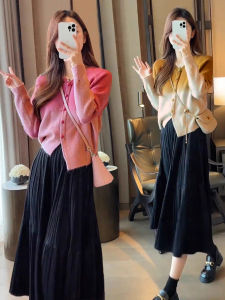 Matching Set Knit Top and Pleated Midi Skirt